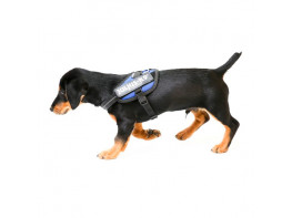 Imagen del producto Julius arnés idc 1 azul