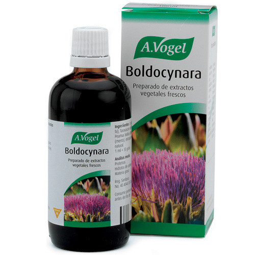 Imagen de BOLDOCYNARA GOTAS 100ML         BIOFORCE